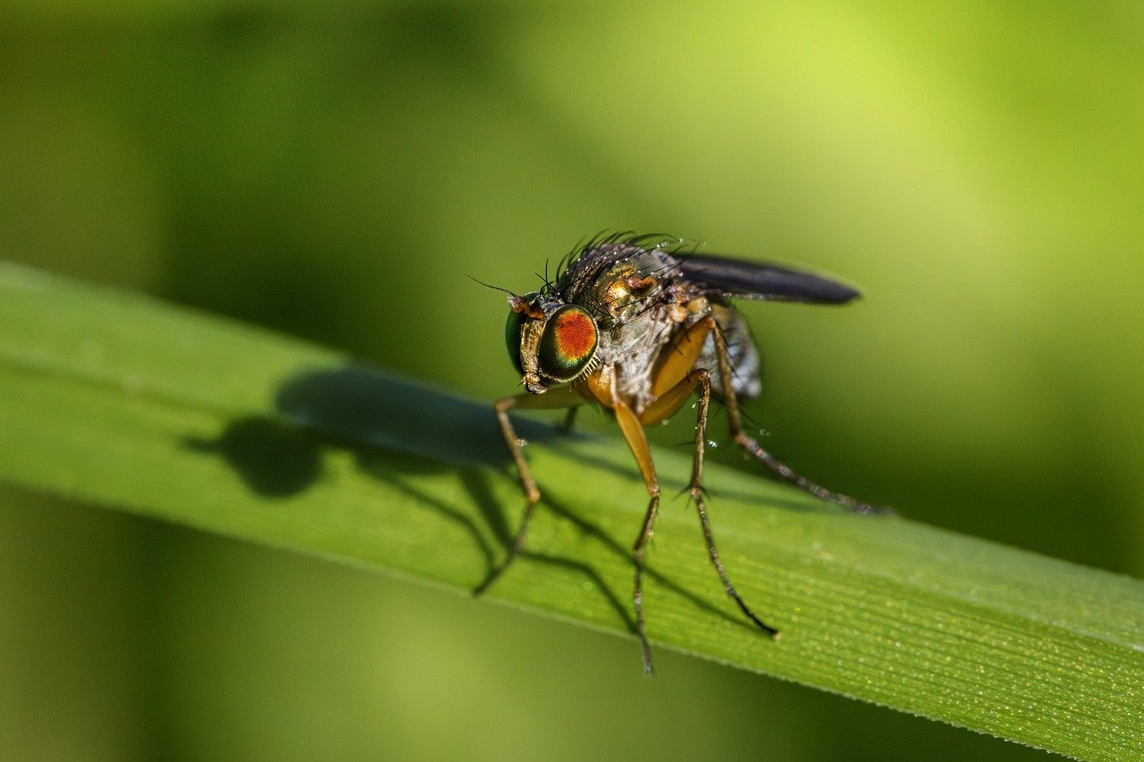 10 Tips for Reducing Your Home's Water Footprint